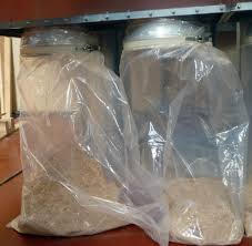 Filter Bags